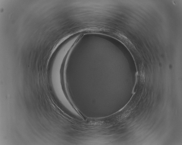 X0000068840484200605261644