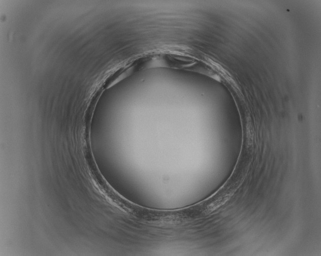 X0000068840485200605261644