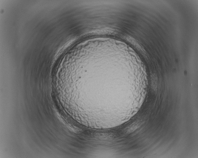 X0000068840486200605261644