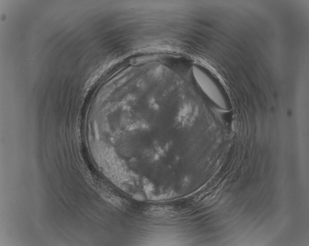 X0000068840487200605261644