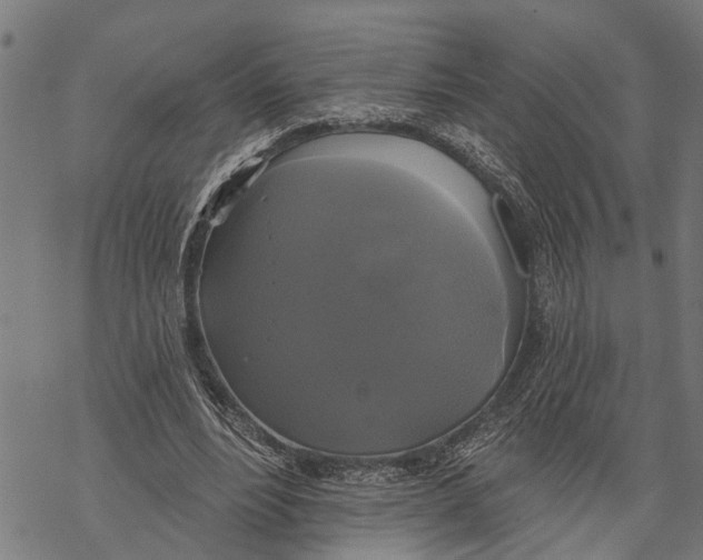 X0000068840488200605261644