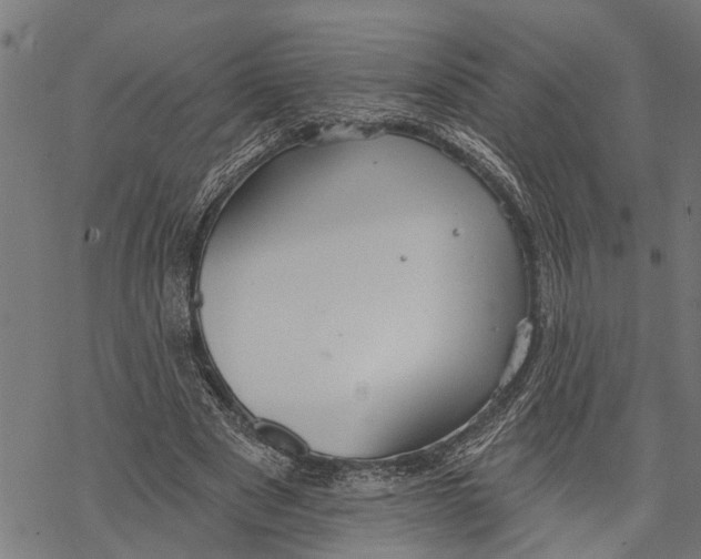 X0000068840489200605261644