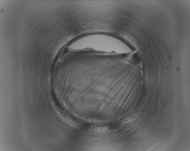 X0000068840491200605261644