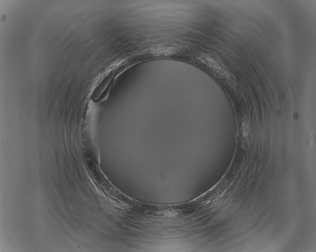 X0000068840492200605261644