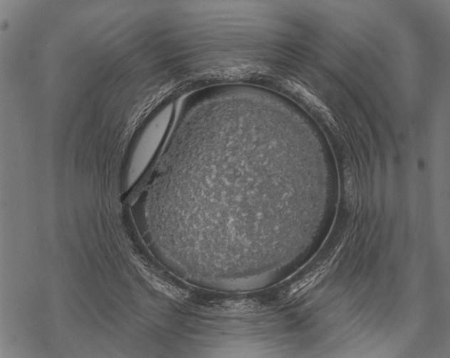 X0000068840493200605261644