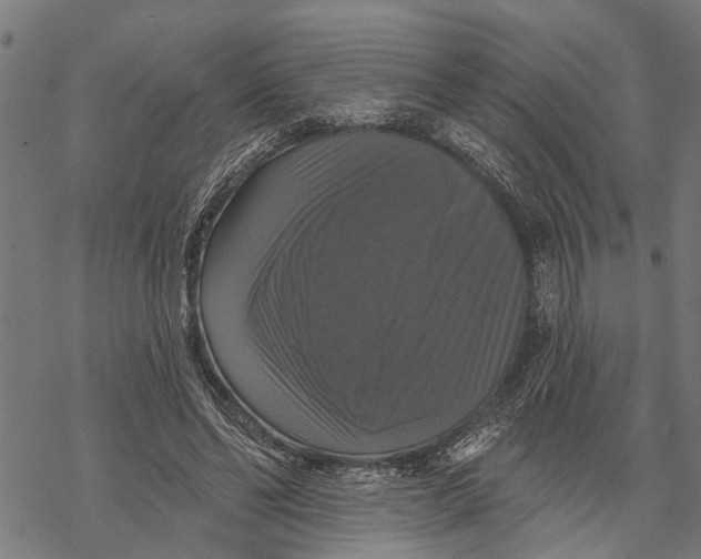 X0000068840494200605261644