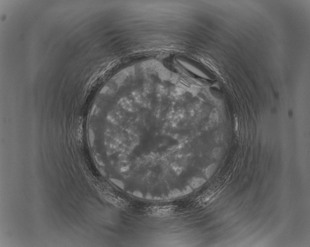 X0000068840495200605261644