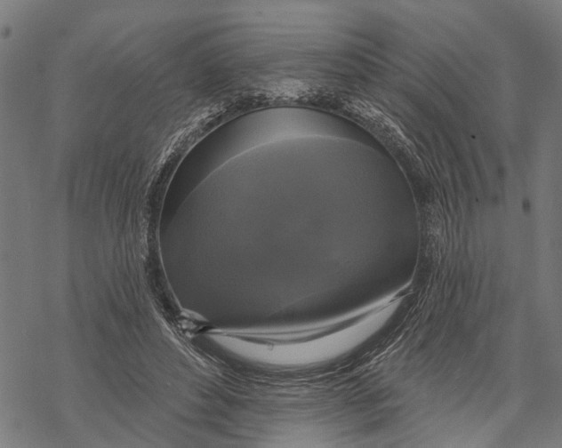 X0000068840496200605261644