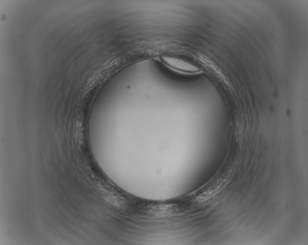 X0000068840497200605261644