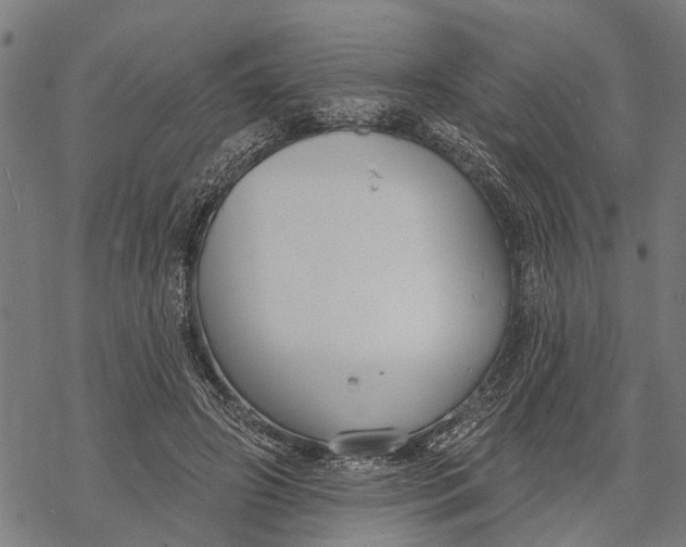 X0000068840498200605261644