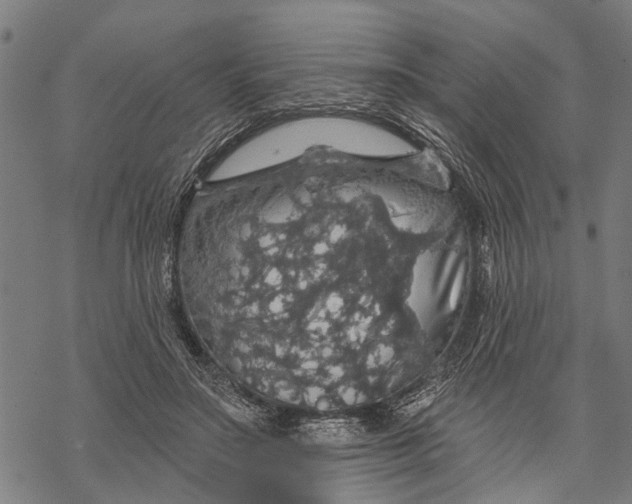 X0000068840499200605261644