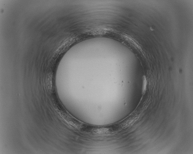 X0000068840501200605261644