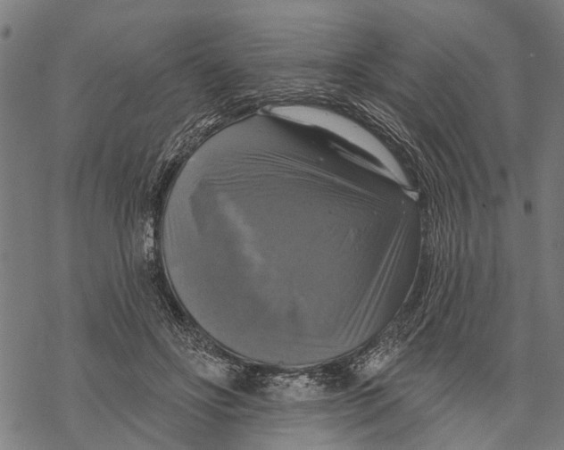 X0000068840502200605261644