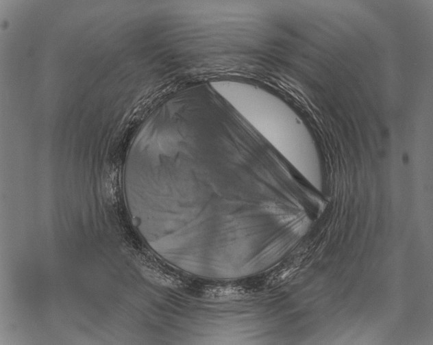 X0000068840503200605261644