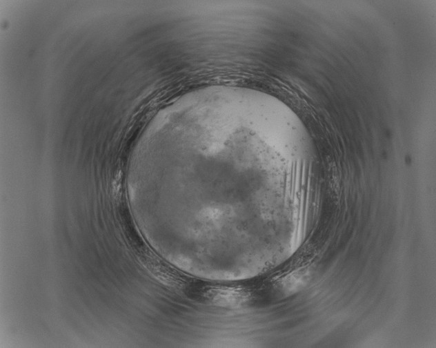 X0000068840507200605261644