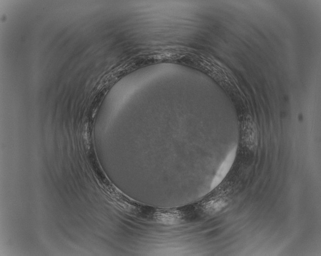 X0000068840510200605261644