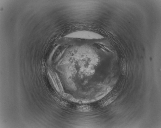 X0000068840511200605261644