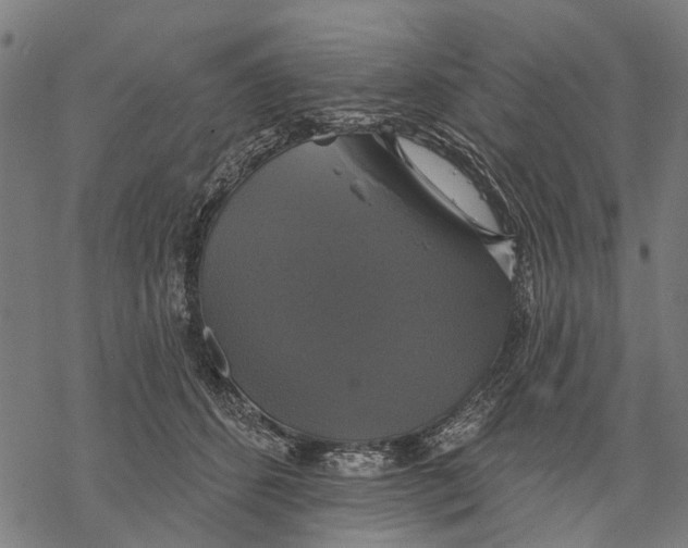 X0000068840512200605261644