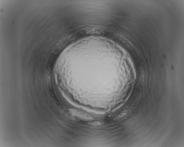 X0000068840513200605261644