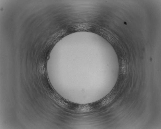 X0000068840514200605261644