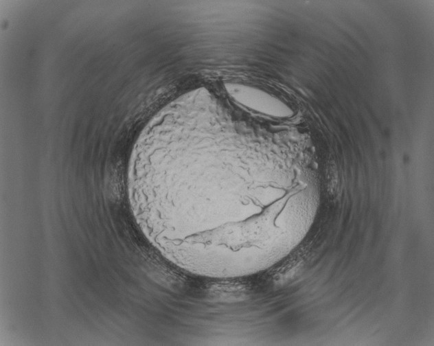 X0000068840515200605261644