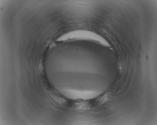 X0000068840516200605261644