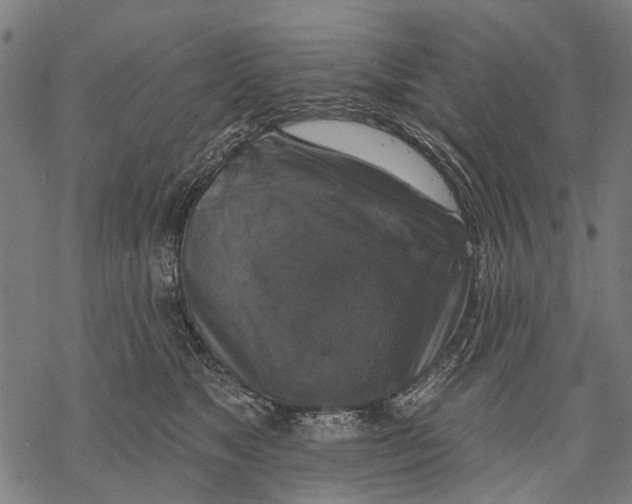 X0000068840517200605261644