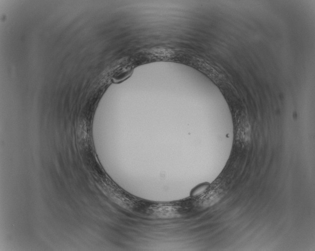 X0000068840518200605261644