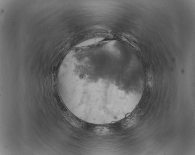 X0000068840519200605261644