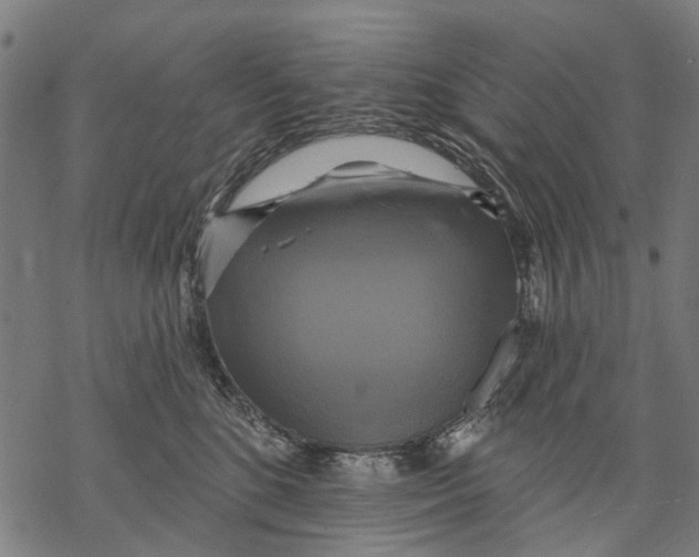 X0000068840520200605261644