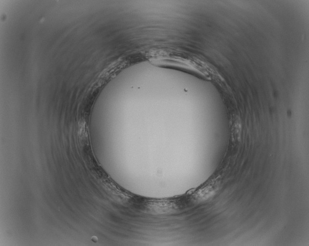 X0000068840521200605261644