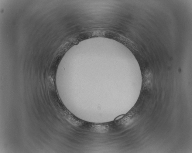 X0000068840522200605261644