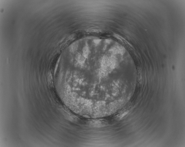 X0000068840523200605261643