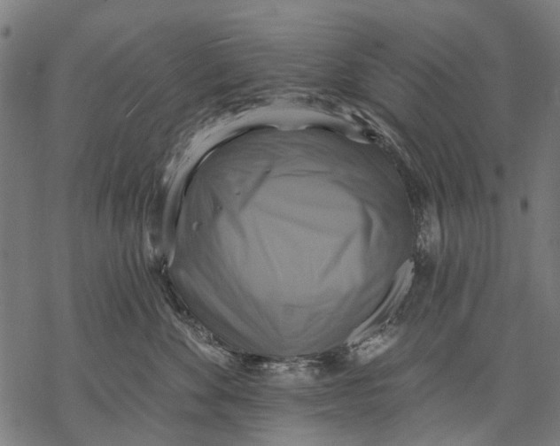 X0000068840524200605261643