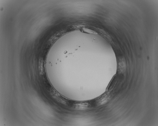 X0000068840525200605261643