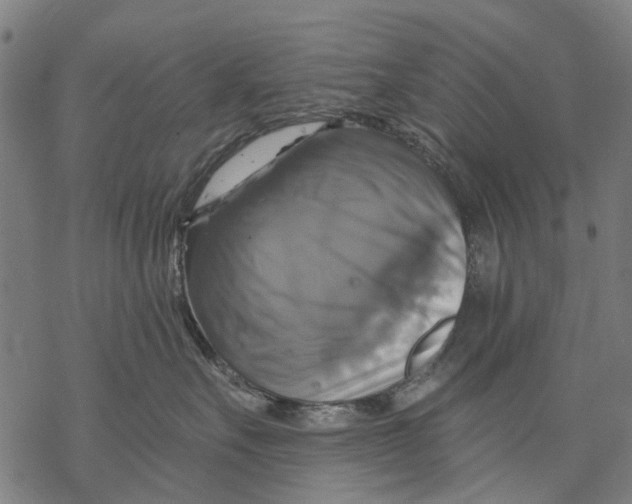 X0000068840527200605261643