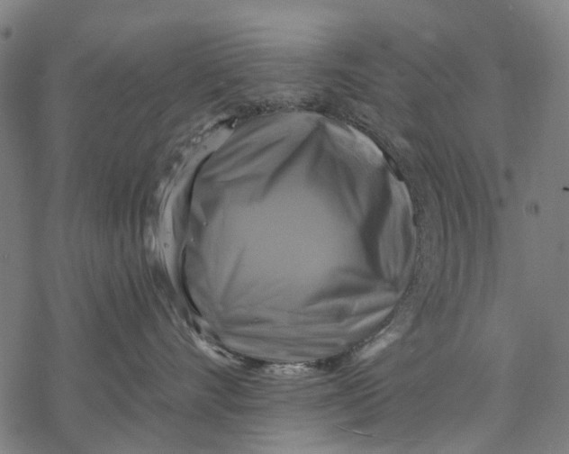 X0000068840528200605261643