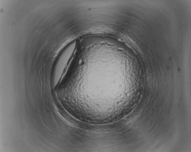 X0000068840530200605261643