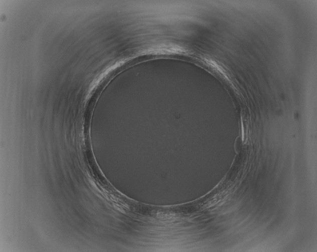 X0000068840531200605261643