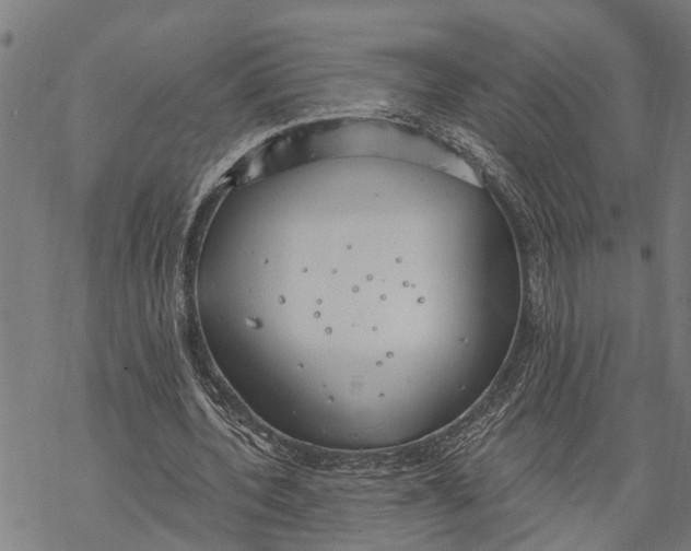 X0000068840532200605261643