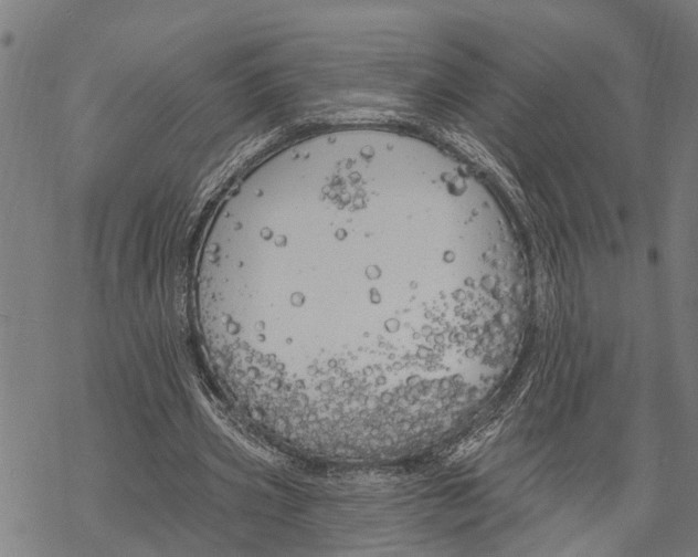 X0000068840533200605261643