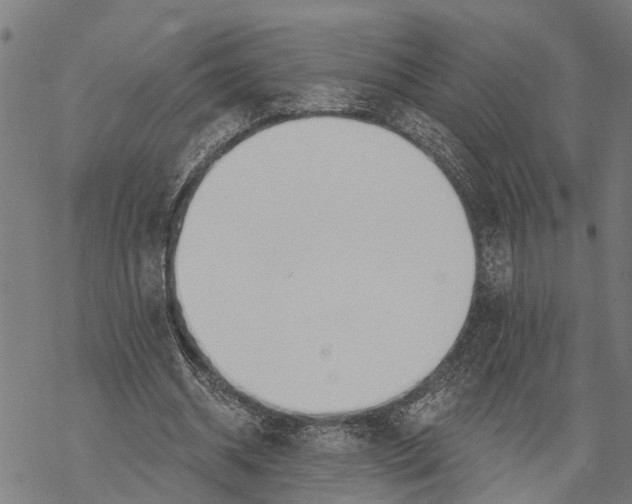 X0000068840534200605261643