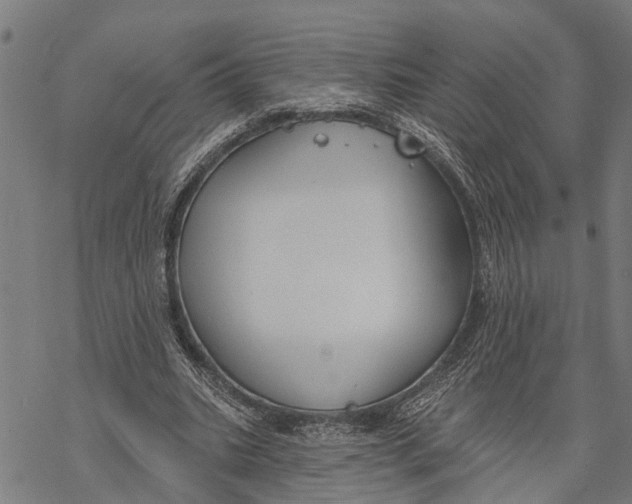 X0000068840535200605261643