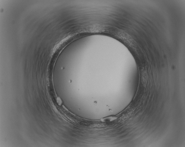 X0000068840536200605261643