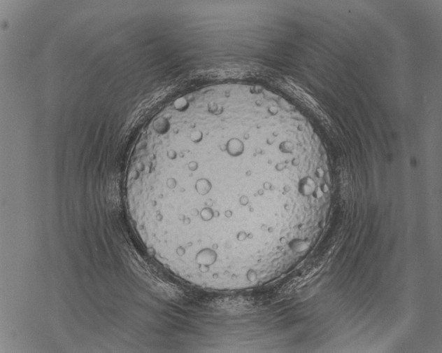 X0000068840537200605261643