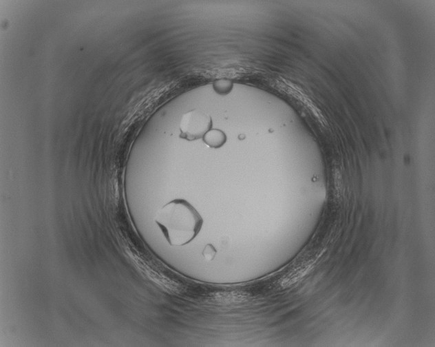 X0000068840541200605261643