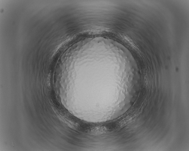 X0000068840543200605261643