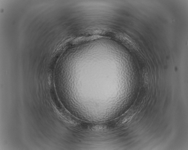 X0000068840546200605261643