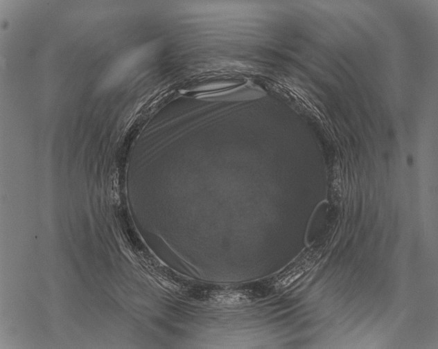 X0000068840547200605261643