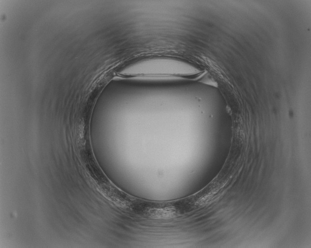 X0000068840548200605261643